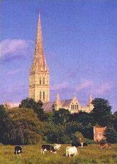 Salisbury Cathedral